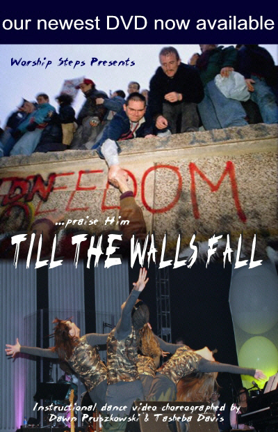 Till The Walls Fall DVD
